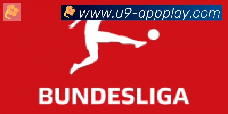 U9国际体育合作伙伴